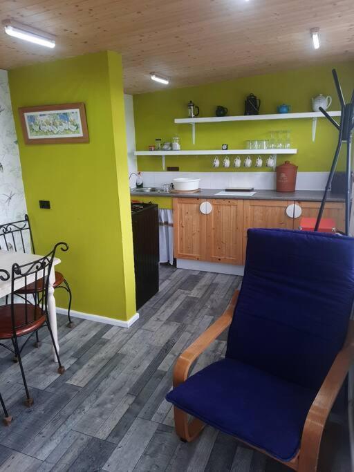 Appartamento Off Grid Rosie Sheperd Hut And Summerhouse Plus 1 Acre At Tanyrallt Llanybyther Esterno foto